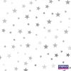 1187 – Estrela – Prata-Branco
