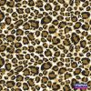 3018 – Onça_Caramelo