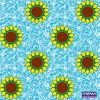 4209 – Girassol_Azul BB