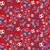 7029 – Azul_Vermelho