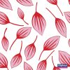 2072 – Rosa_Branco