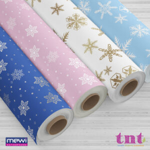 Flocos de Neve