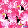 tucano-rosa