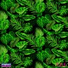 5063_FOLHAS-TROPICAIS
