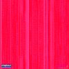 1200-listra-rosa1