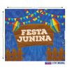 festa-junina-site