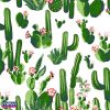 8017—cactos-branco2